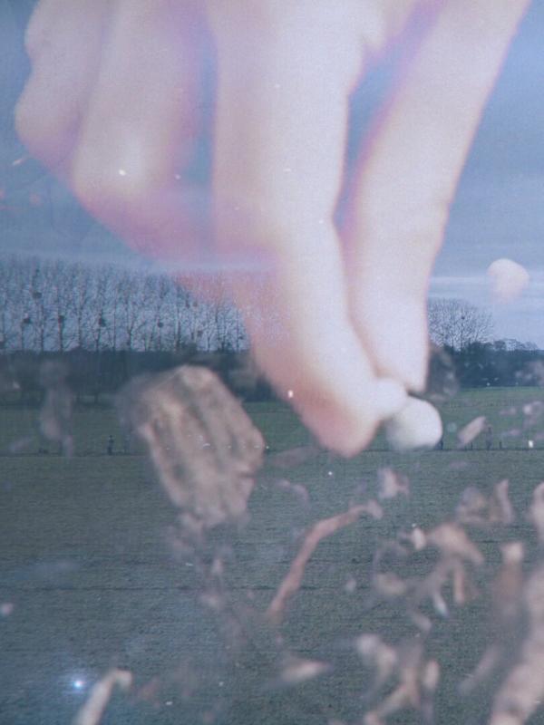 Nos mains dans la terre, l'aventure des enfants et des arbres