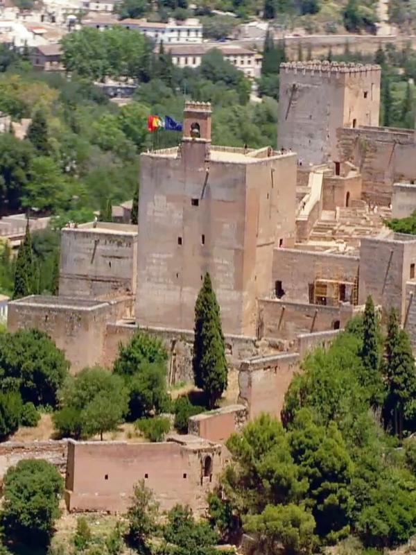 Des racines et des ailes