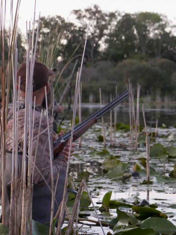 La chasse en Meuse