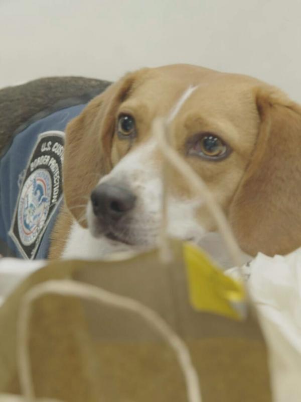 Ultimate Airport USA