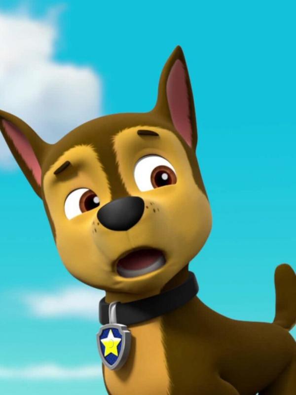 Paw Patrol S3 E25