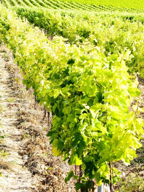 Les reportages de la rédaction