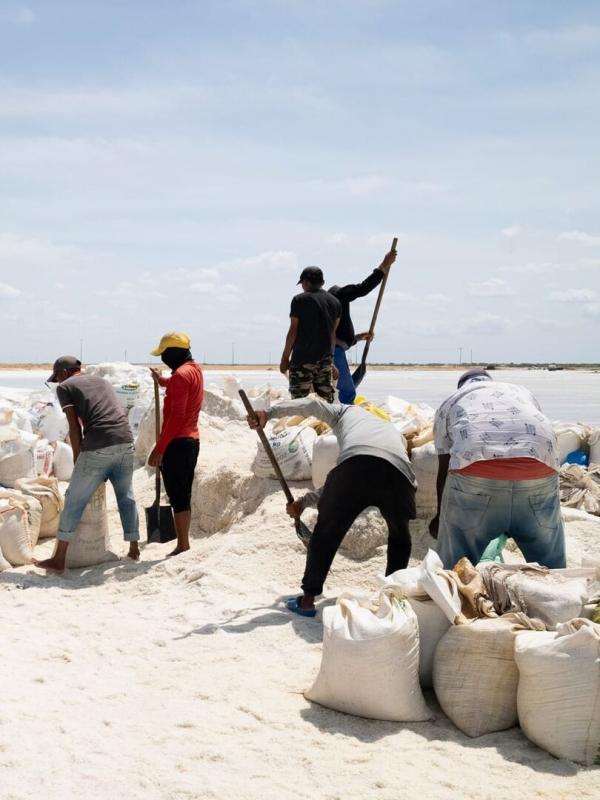 Itinéraires sauvages