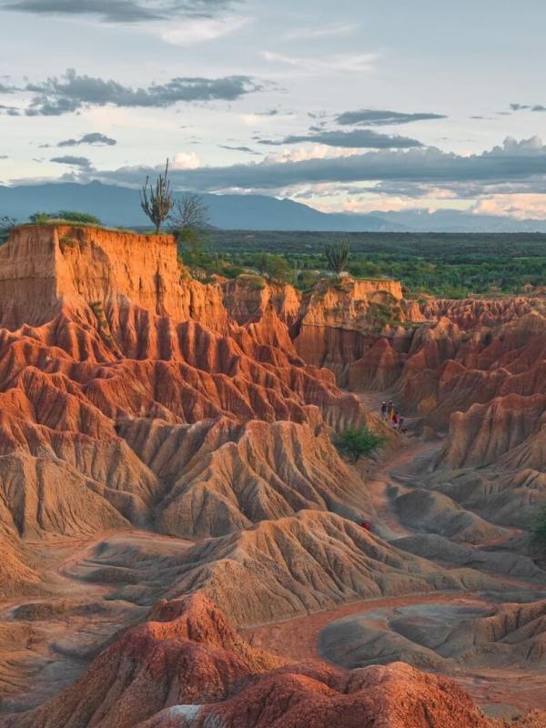 Retour à l'instinct primaire