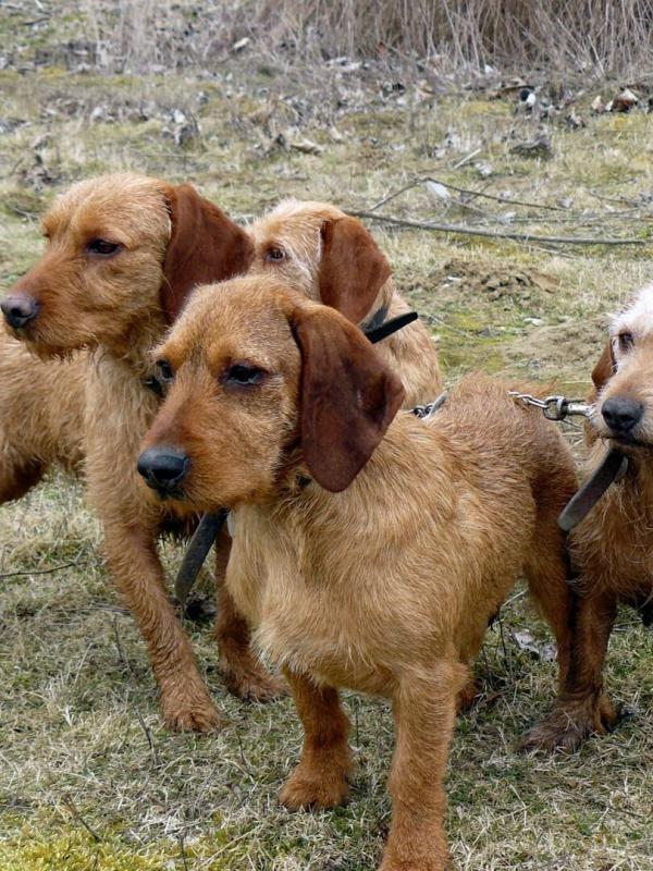 En suivant mes courants