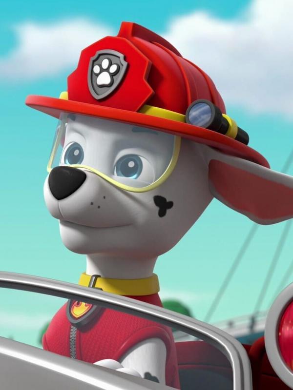 Paw Patrol S9 E16