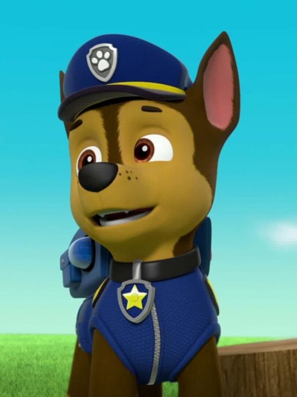 Paw Patrol S4 E2