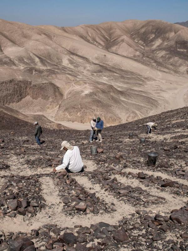 Les légendes de Nasca
