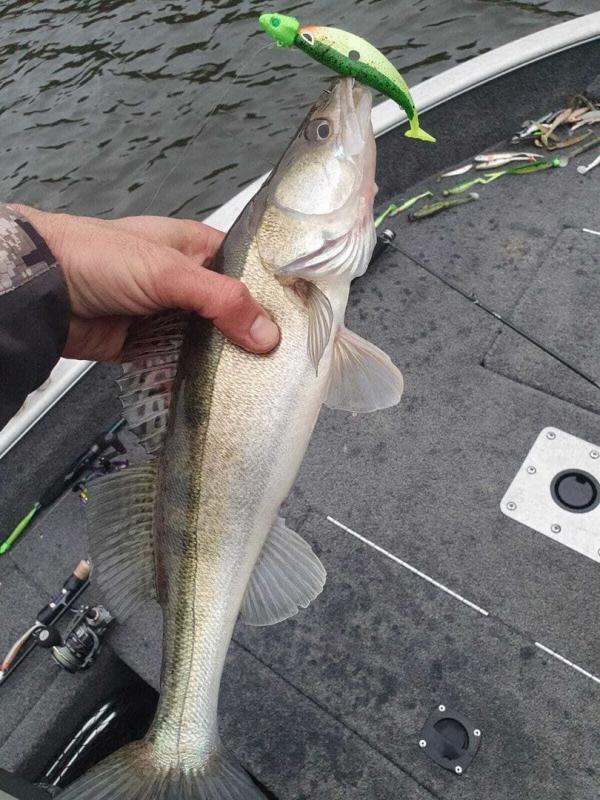 J'irai pêcher chez vous