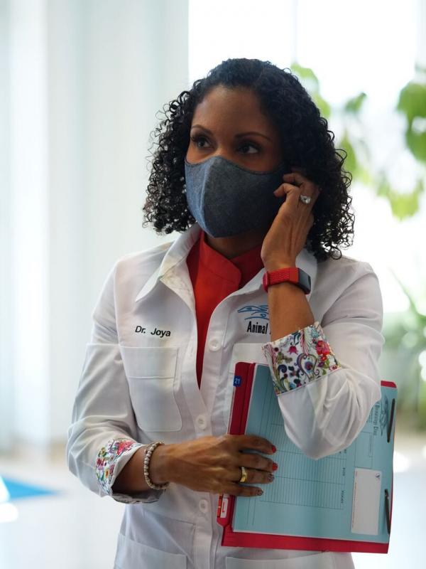 Dr. Joya, véto et dermato