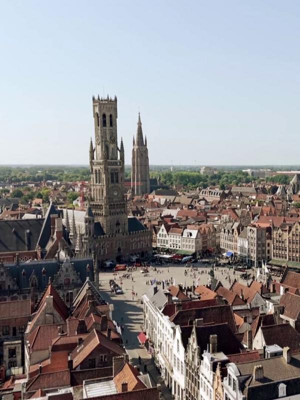 Des racines et des ailes