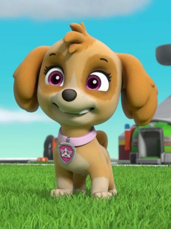 Paw Patrol S4 E24