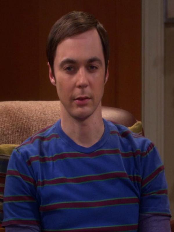 The Big Bang Theory S5 E12