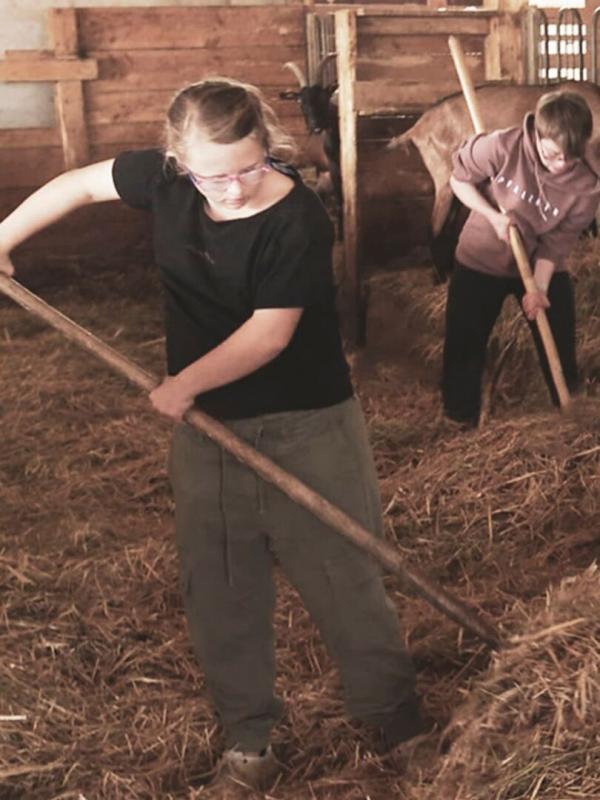 Down the Road - Die Abenteuerreise