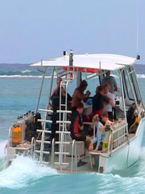 Moorea, l'île aux requins citrons