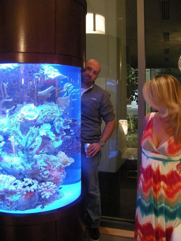 Les rois des aquariums