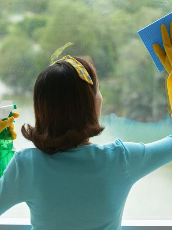 Cleaners les experts du ménage