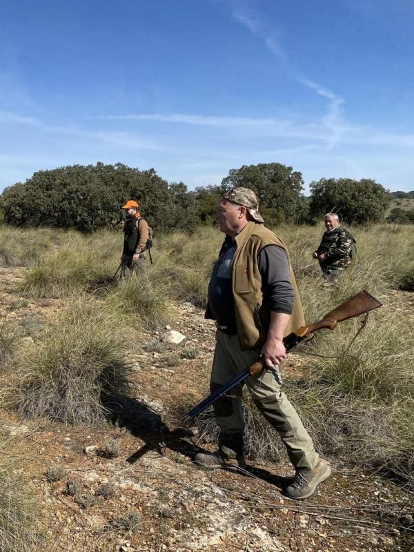 Perdreaux rouges au chien d'arrêt en Espagne