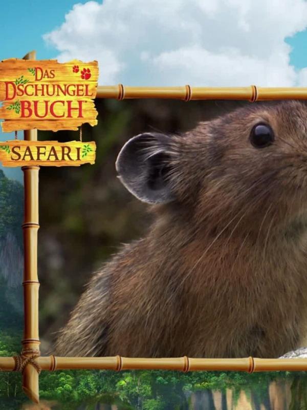 Le livre de la jungle : mission safari S1 E12
