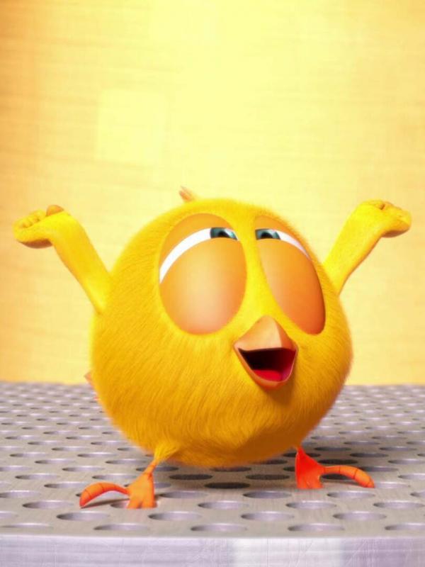 Where's Chicky? S1 E34