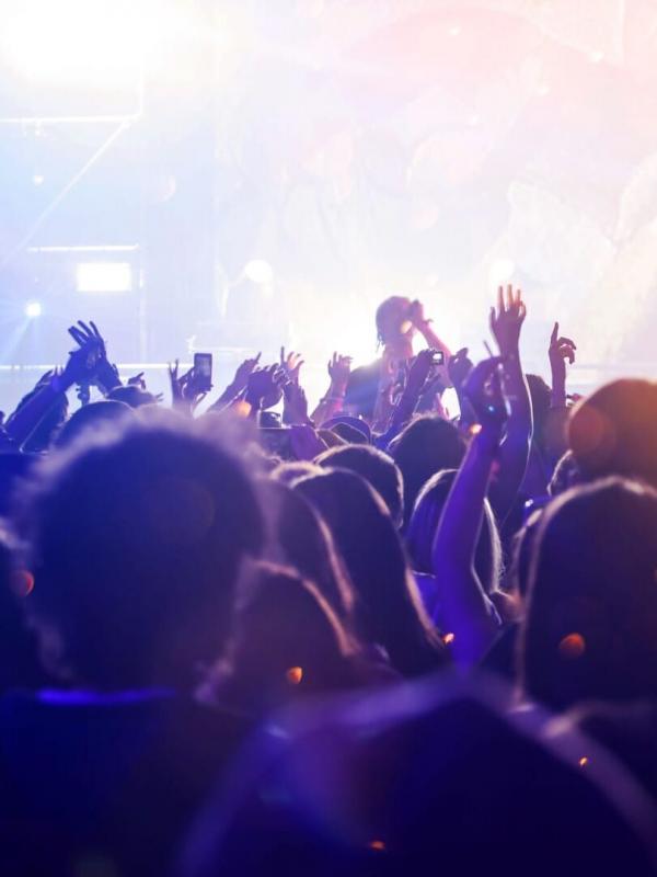 Hervé en concert aux Vieilles Charrues 2024