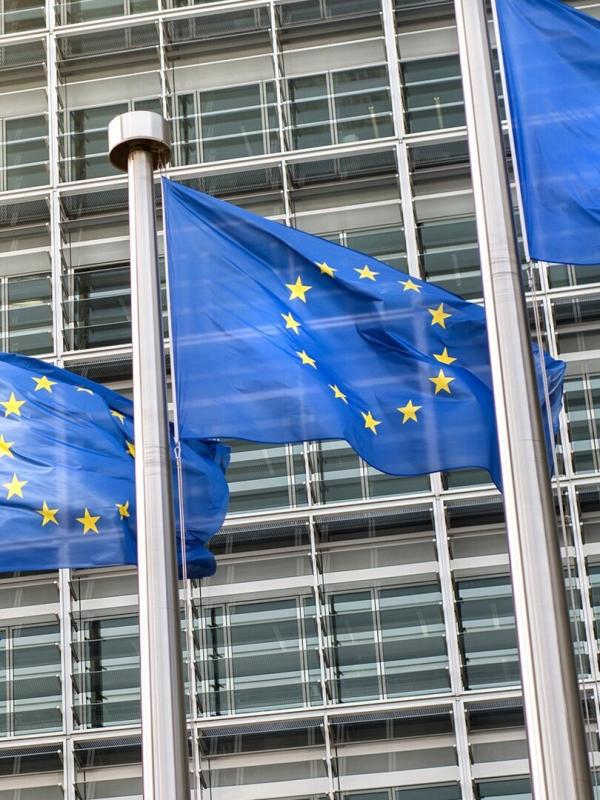 Rai Parlamento: Punto Europa