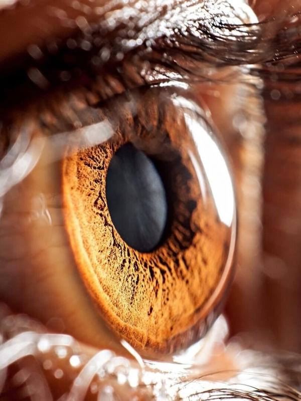 Avec les yeux de Morgane