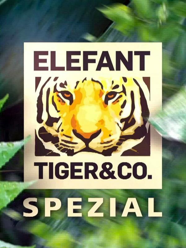 Elefant, Tiger & Co.