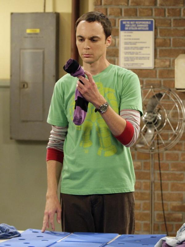 The Big Bang Theory S2 E1