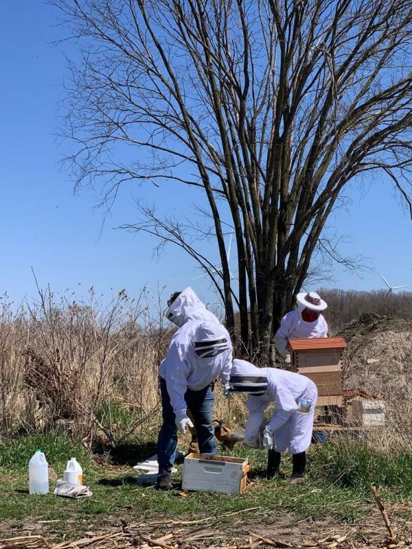 L'Incroyable ferme des Pols