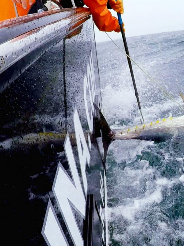 Pêcheur de légende
