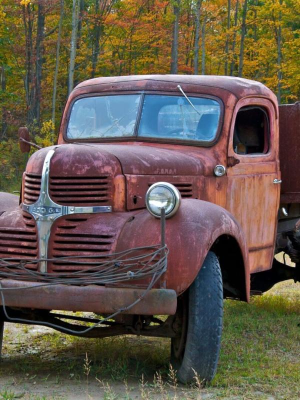 American Pickers, la brocante made in USA