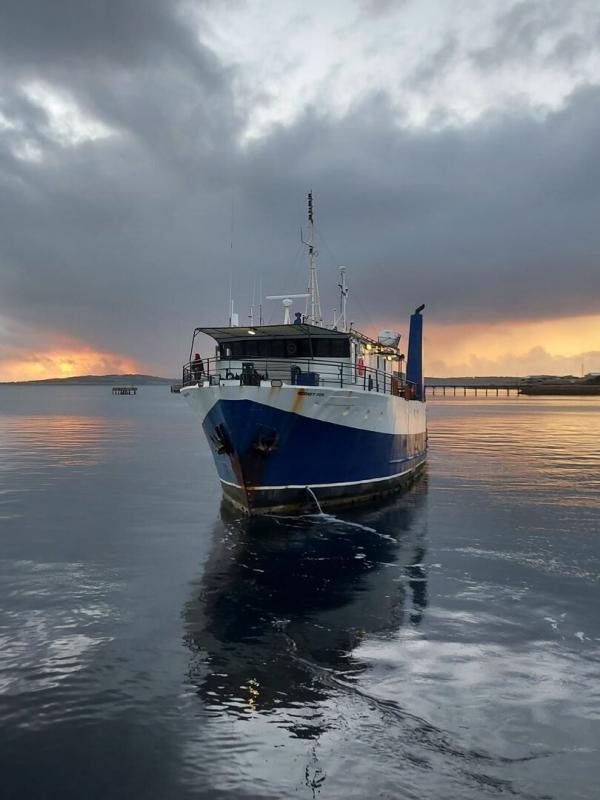 Géants des mers : Le requin