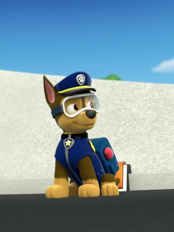Paw Patrol S1 E8