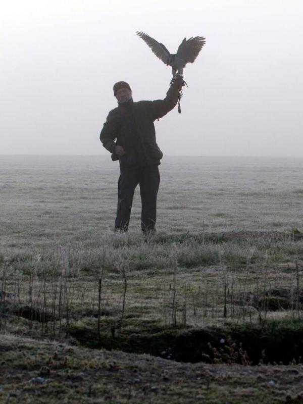 5 nuances de chasse au vol