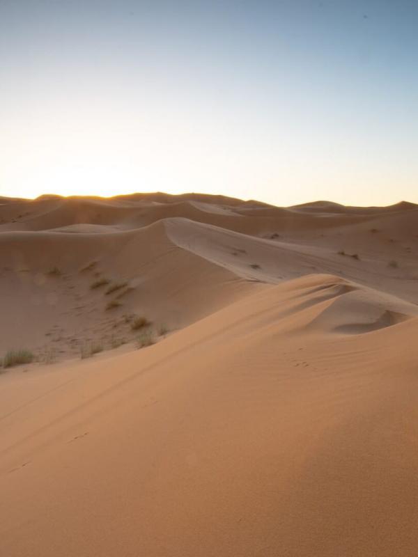 Destination Wild : les merveilles de l'Afrique