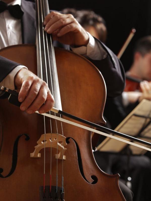 Der Wanderer (arr. Liszt)