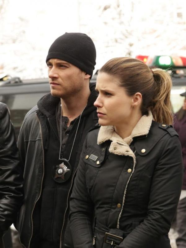 Chicago Police Department S1 E12