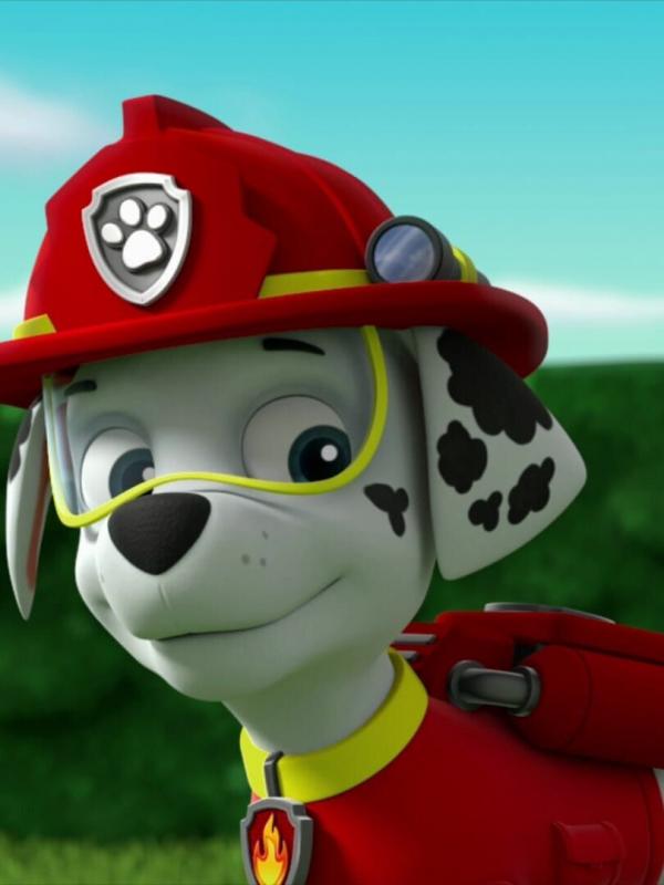 Paw Patrol S7 E5