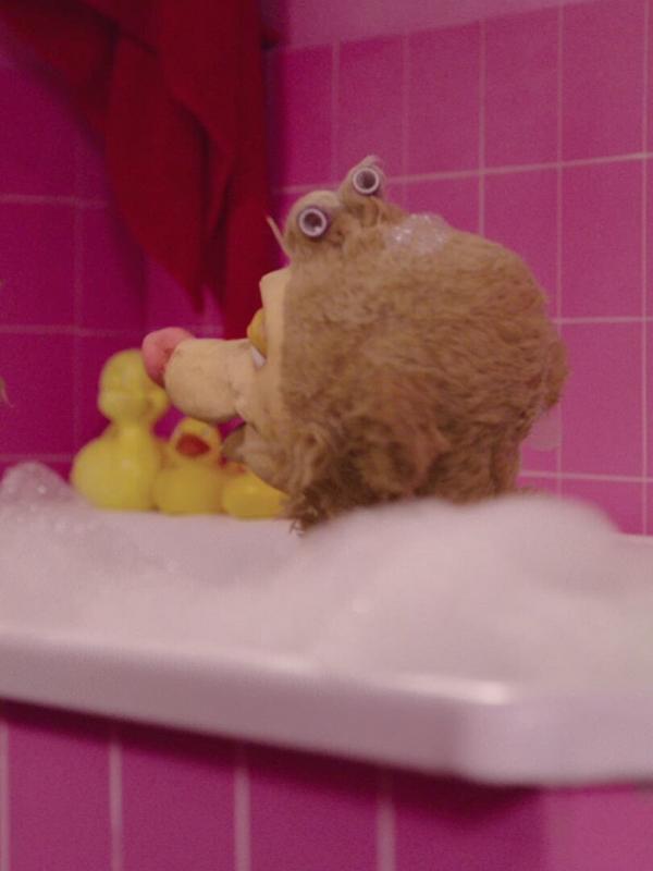 Kaatjes Kameraadjes S2 E7