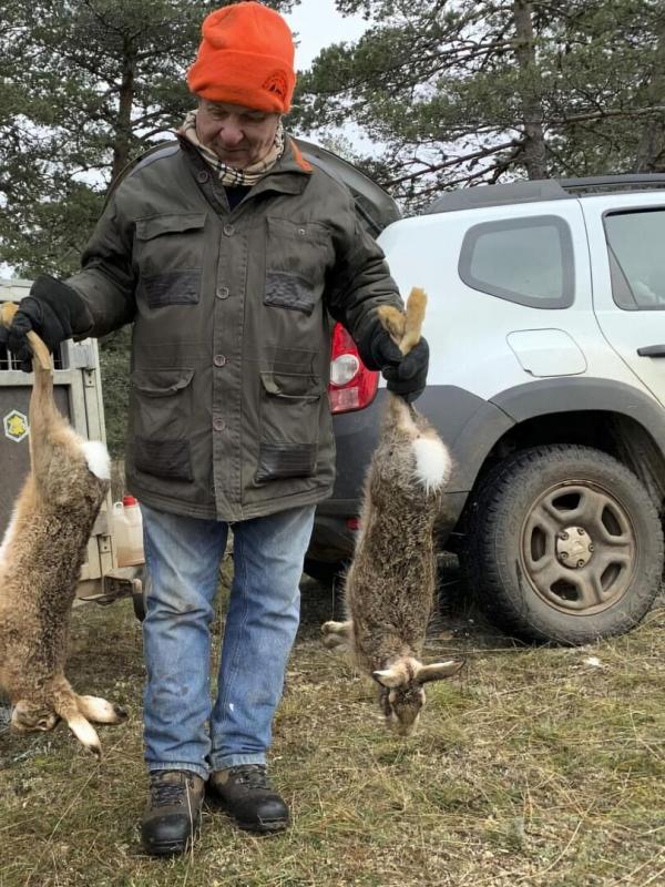 Dans la voie du lièvre