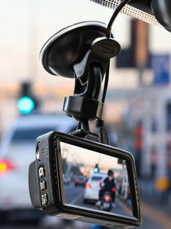 Sur le vif : vidéos insolites