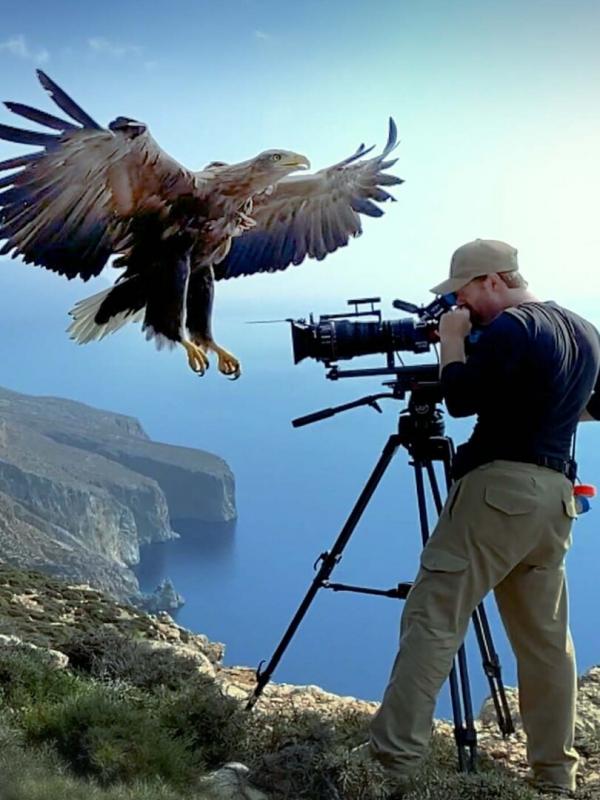 Méditerranée, l'odyssée pour la vie