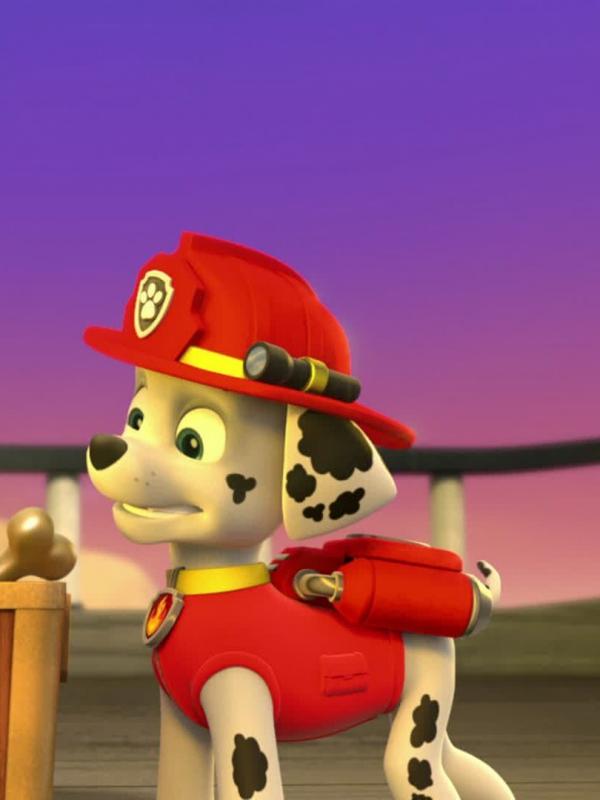 Pat' Patrouille S1 E26