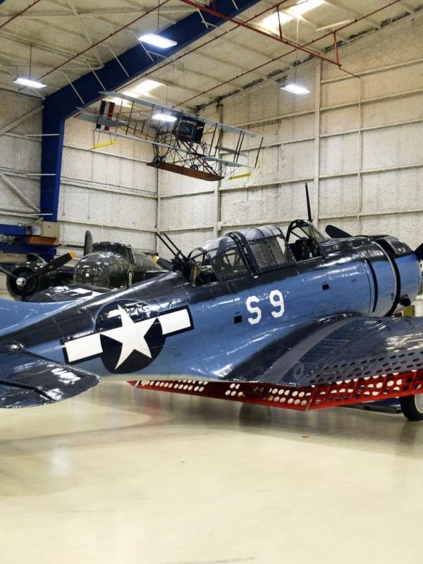 Avions de combat