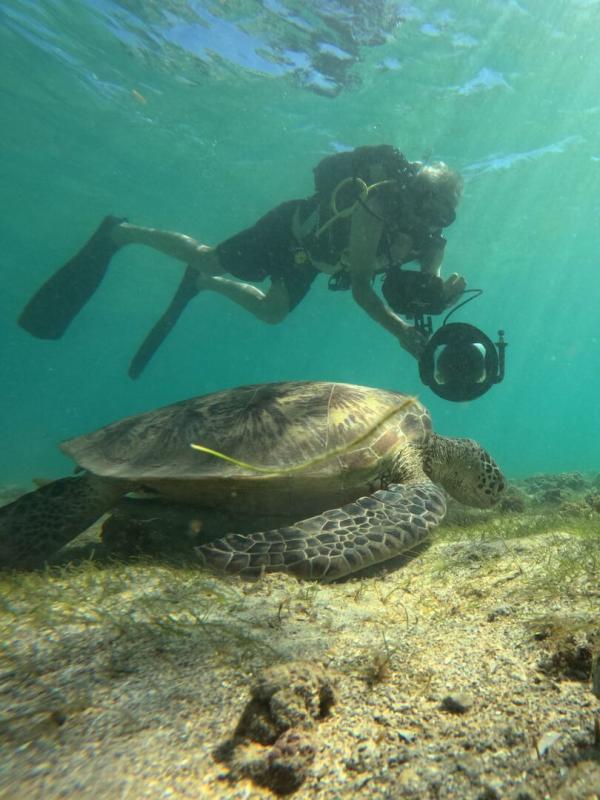 Dugong blues, les dernières sirènes de Mayotte