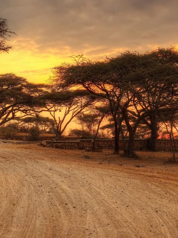 L'Afrik en conte