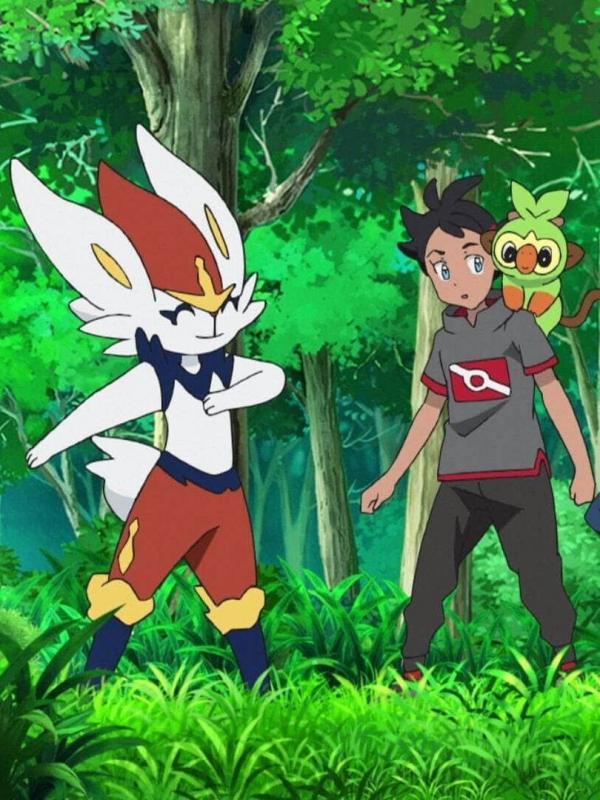 Pokémon : Les voyages S24 E14