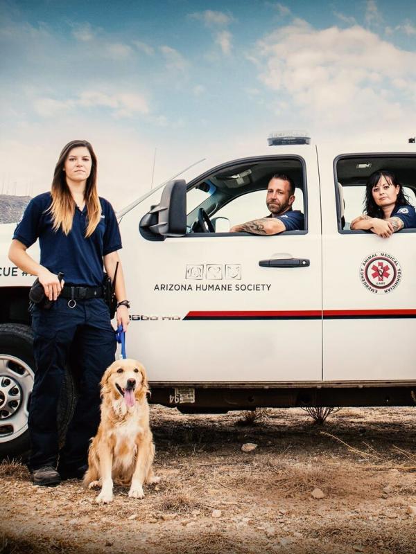 Animal Cops