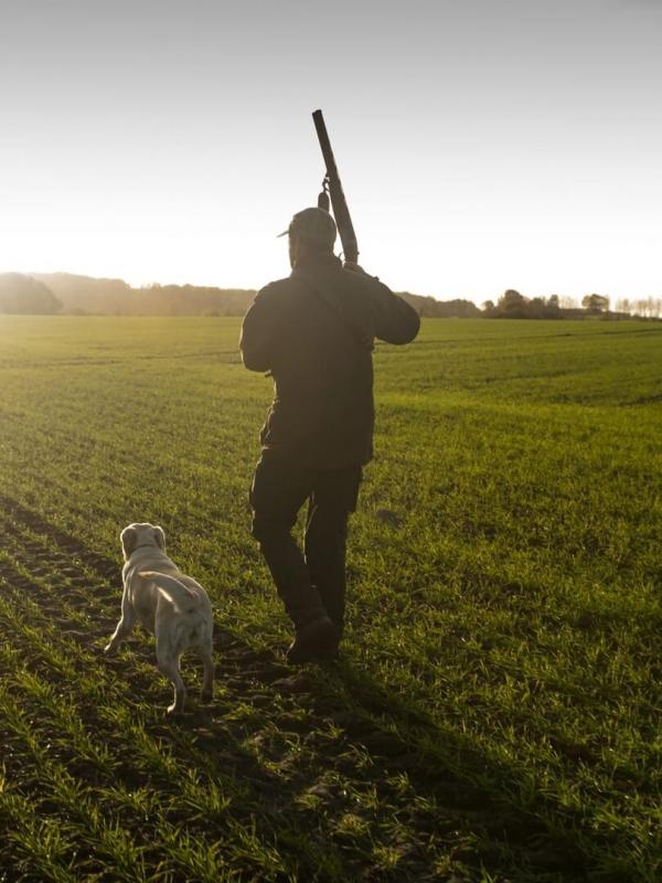 De la plume au silex